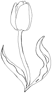 Coloring Tulip Printable Coloring Pages Flower Coloring Pages Coloring Pages For Kids Tulips