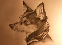 Pencil and paper are very simple things, but creating art with pencil illustrations is anything but simple and when they are this realistic it becomes a technical achievement besides being an artistic endeavor. Orasnap Cute Realistic Drawings Of Animals