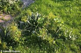 Lieferung nur innerhalb der schweiz und liechtenstein. Hubdach Selber Bauen Landi Garten