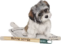 RÃ©sultat de recherche d'images pour "gif bonne soirÃ©e"