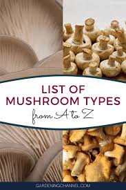 List Of Mushroom Types From A To Z Stuffed Mushrooms Mushroom Varieties Edible Mushrooms