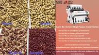 AMD RC Series(RC4) Peanut Color Sorter/Sortex Machine Price for Groundnut  Sorting