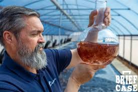 Corporate Ladder: your weekly guide to executive appointments in South  Australia