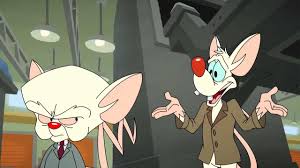 Угадайте, чье творение сейчас перед нами? Offizieller Trailer Zur Animaniacs Comeback Serie Mit Pinky Und Brain Seriesly Awesome