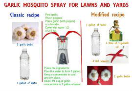 Homemade Mosquito Yard Spray Is Cheap Effective And Easy To Do Mosquito Yard Spray Mosquito Spray Mosquito Repellent Homemade
