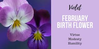 They have a lot of food to eat, place to live. Discover Your Birth Flower Interflora