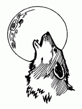 Loup Nuit Coloriage Loup Loup Dessin Dessin De Loup