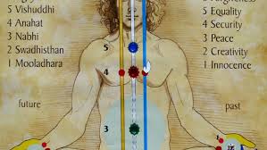 We did not find results for: The Subtle System Freemeditation Com