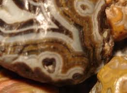 Image result for Agate Red Brown 1956 Wayne Works