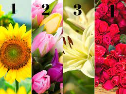 N represents the number of biologically independent experiments and fold change is calculated. What S Your Flower Type Know About Your Personality By Picking Your Favourite One The Times Of India
