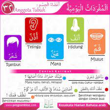 Hidung ( ٌأَنْفٌ جـ أُنُوْف) anfun jim unuufun. Kosakata Harian Bahasa Arab Bisa 32 Ø¨ Ø³ Ù… Ø§Ù„Ù„ Ù‡ Ø§Ù„Ø± Ø­ Ù… Ù† Ø§Ù„Ø± Ø­ ÙŠ Ù…