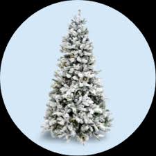 Hier ab 0,00 € beantragen. Christmas Trees