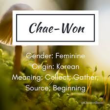 Chae Won Girl S Name In 2020 Korean Girls Names Korean Female Names Girl Names