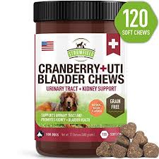 Cranberry Supplement For Dogs 120 Grain Free Dog Treats Cranberry Chews For Urinary Tract Infection Treatment Uti Relief Bladder Control Support Ut Incontine Urinary Tract Infection Cranberry Supplements Dog Treats Grain Free