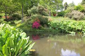 Garden Pond Garden Pond Garden Pond