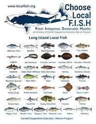 Maybe you would like to learn more about one of these? Choose Local F I S H
