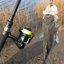 Spinpoler Fuji Sea Bass Fishing Rod 2 4m Mf Action Spinning Rods 15 45g Lure Weight Bass Trout Freshwater Saltwater Fishing Fishing Rods Aliexpress