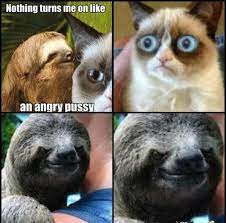 Hilarious Usual Dirty Sloth Memes Image Quotesbae
