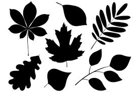 More images for fall leaf silhouette » Leaves Silhouette Autumn Leaves Vector Grafik Von Shishkovaiv Creative Fabrica