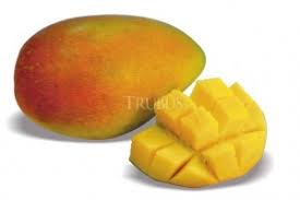 Jenis mangga yang popular jika kita menyebut ' murr mangifera indica l ' kepada sesiapa sahaja pasti terlopong dan te. Beberapa Jenis Mangga Raksasa Bibit Buahku