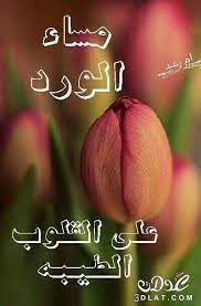 مسجات مسائية بالصور 2019 مساء الخير 3dlat net 24 16 9653 good morning images flowers good evening greetings evening pictures