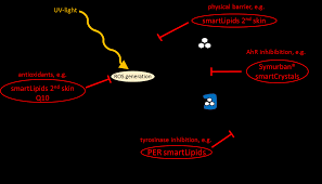 Spf 15 sunscreen blocks 93% of uvb rays. Https Refubium Fu Berlin De Bitstream Handle Fub188 26776 Thesis Daniel K C3 B6pke Pdf Sequence 3