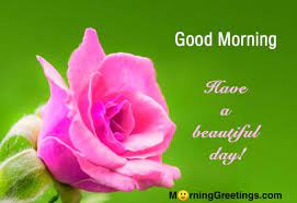 10 Good Day Greetings With Flowers Morning Greetings Morning Quotes And Wishes Images