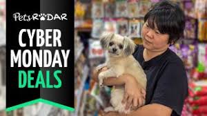 We're setting a new standard for pet health and wellness. Get The Best Cyber Monday Pet Deals Petsmart Walmart Petco And More Petsradar