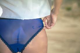 Sheer Panties See Through Panty Tulle Bikini Lingerie - Etsy