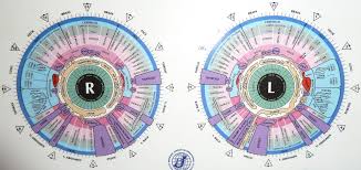 Iridology Chart Iriscope Iridology Camera Iriscope