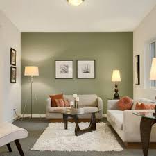 Finding it difficult to pick a perfect wall paint colour for your home? 75 Beautiful Transitional Living Room With Green Walls Pictures Ideas April 2021 Houzz