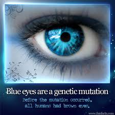 Brown hair and blue eyes is extremely common in the western european countries such as norway, sweden, germany, england, ireland, scotland, and wales. Blue Eyes Out From Under The Umbrella