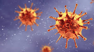 Coronavírus: covid-19 já mata mais por dia que a tuberculose ...