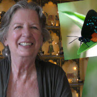 Mary Benton: Art + Environmental Activism