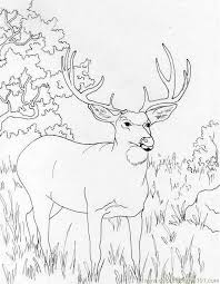 Color this abstract deer in the fall coloring sheet and enjoy experimenting with different shades of red, brown, yellow, or any other colors you see fit. Muledeer Coloring Page For Kids Free Deer Printable Coloring Pages Online For Kids Coloringpages101 Com Coloring Pages For Kids