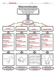 Biochemistry Tests For Food Macromolecules Lipid Graphic Organizer For Organic Or Macromolecules Teaching Biology Macromolecules Biology Classroom