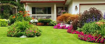 These nutrients are available to plants in the form of organic material (organic fertilizers) or are derived through chemistry procedures (synthetic fertilizers). How To Plant Grass Seed