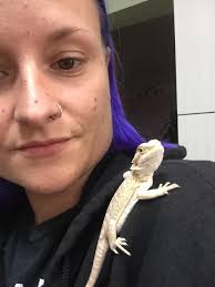 My daughter's 10ish month old beardie, Berry Dragonow. He was her 7th  birthday gift. We actually took her to Snake Discovery in Minnesota to  fulfill her dream of meeting Emily and Ed(from