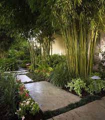 Learn how to use bamboo in your home landscape. Bamboo Garden Ideas Backyards 6 Tropical Landscape Design Japanese Garden Design Garden Design