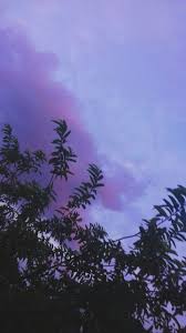 Tons of awesome purple aesthetic hd wallpapers to download for free. Pinterest Wormwood Hardworking Backgrounds Dark Purple Aesthetic Purple Wallpaper Purple Wallpaper Iphone