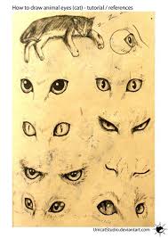 Animal Eyes Tuto By Unicatstudio On Deviantart Animal Drawings Sketches Drawings