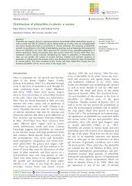 Image result for Antrophyum mannianum