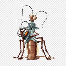 Cockroach Insect Illustration Cartoon Mosquito Cartoon Character Insects Png Pngegg Free psd cartoon couple cartoon cartoon character cartoon cloud cartoons cartoon alien cartoon car cartoon arms materials cartoon sun. cockroach insect illustration cartoon