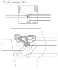 Check spelling or type a new query. Https Teachingsexualhealth Ca App Uploads Sites 4 Grade 7 Sexual Development Lesson 1 Pdf