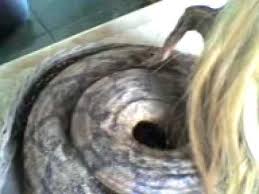 Lebih bikin merinding ketimbang malin kundang, kebanyakan anak durhaka itu malah dikutuk jadi binatang. Anak Durhaka Dari Medan Indonesia Youtube