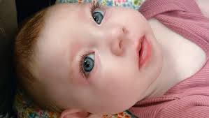 Fundraiser for Shane Gilbert by Kellee Comeau : Help support baby Nora  Gilbert and her family.