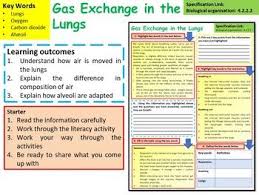 Biology Gas Exchange In The Lungs Lesson Activities Lessons Activities Biology Lessons Lesson
