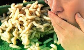 People also asked, will vinegar kill maggots? How To Stop Maggots In Your Wheelie Bin Express Co Uk