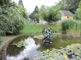 Having moved location several times due to wars and flooding, the garden was established in its current location in the herdern district of freiburg in 1914. Schon Botanischer Garten Der Universitat Freiburg Freiburg Reisebewertungen Tripadvisor