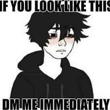 Please Bro Funny Memes Stupid Memes Cute Memes